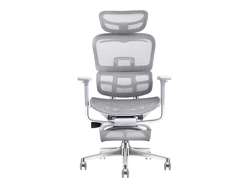 Lucky Luxury-V1 Mesh Executive Chair