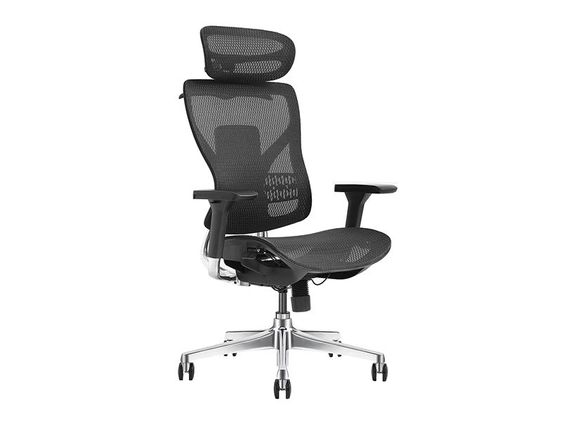 Fly Pro-V6
