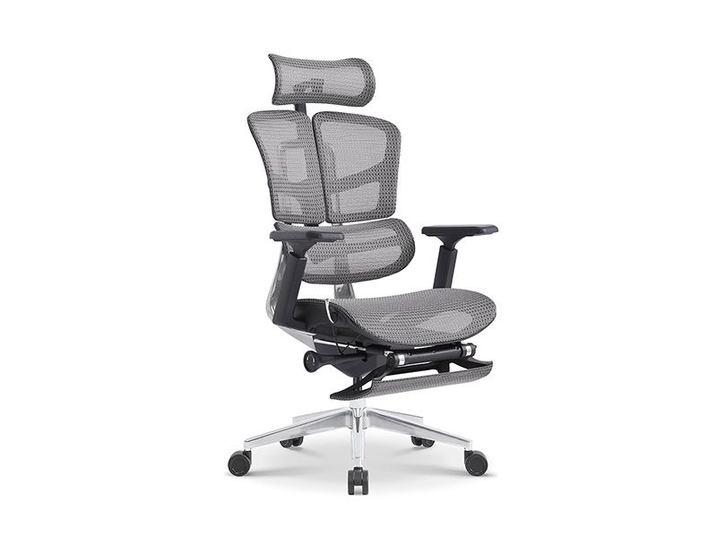 Wing-V5