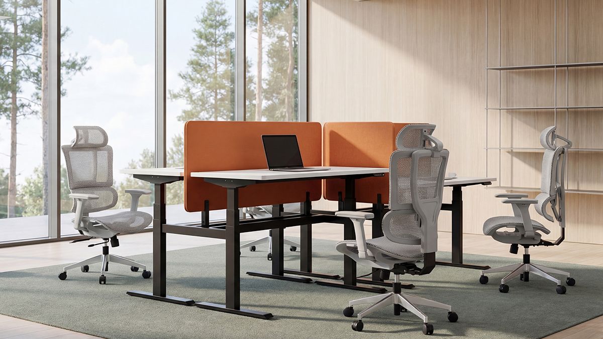 Why Have Mesh Office Chairs Become the Top Choice for Corporate Procurement in 2026?
